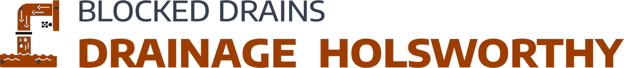 website logo